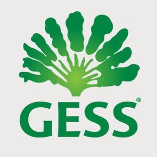 German European School Singapore (GESS) logo