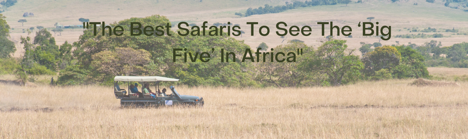 The Best Safaris To See The ‘Big Five’ In Africa