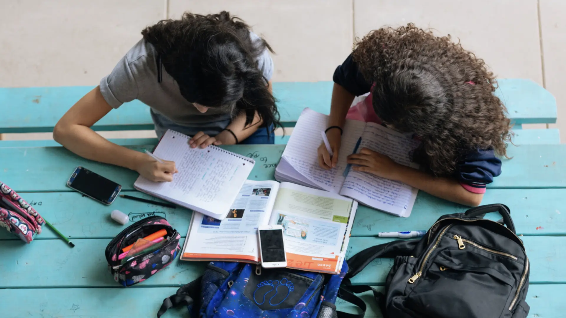 High School Student Considering a Career in Sustainability? This Program is for You.