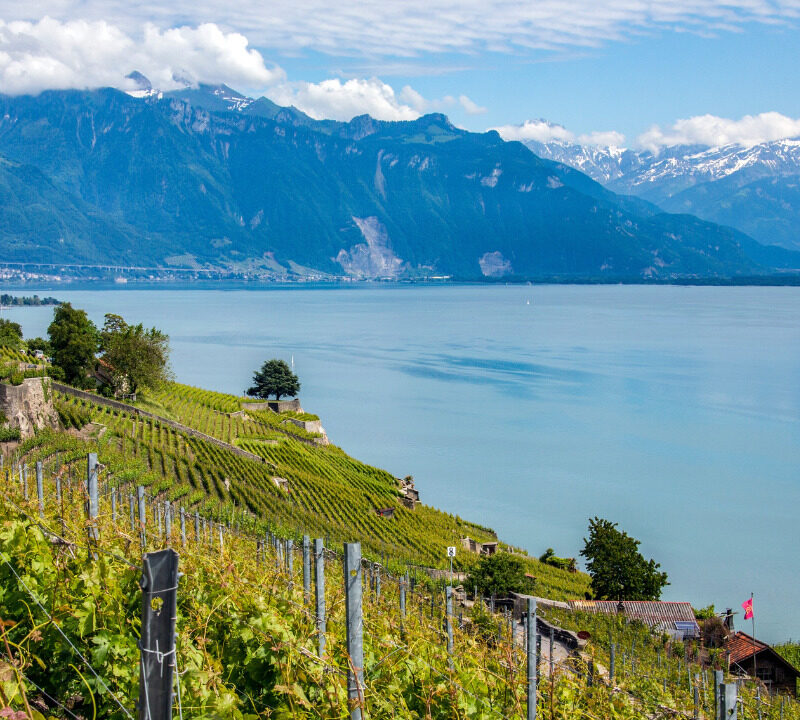 Sustainable Switzerland landscape emphasizing environmental responsibility.
