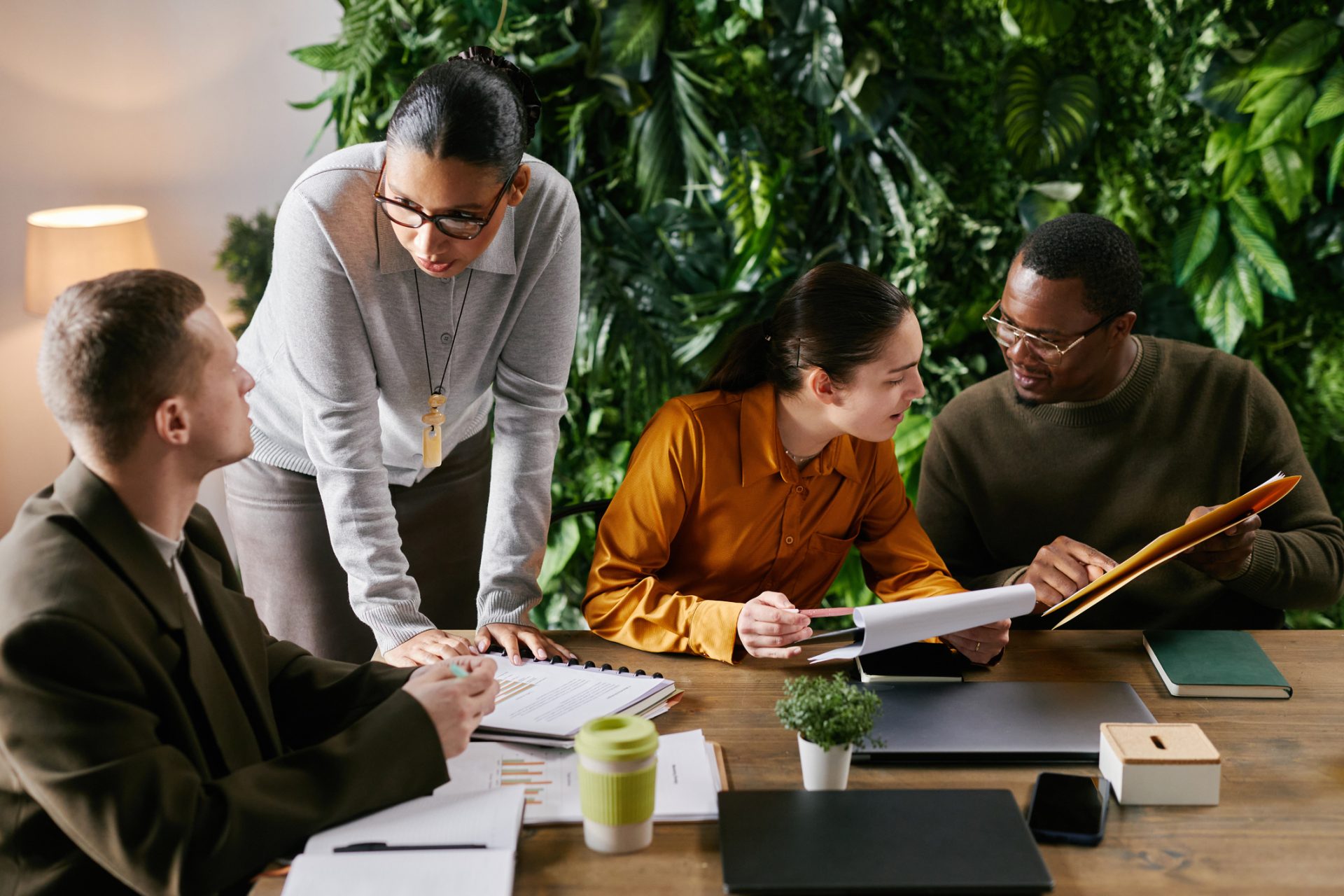 MBA in Sustainable Development: From Boardroom to Biodiversity